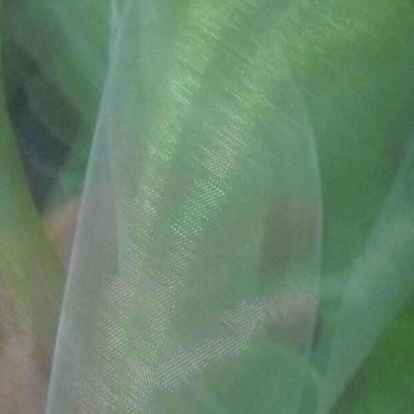 organza changeant vert bambou reflets blanc