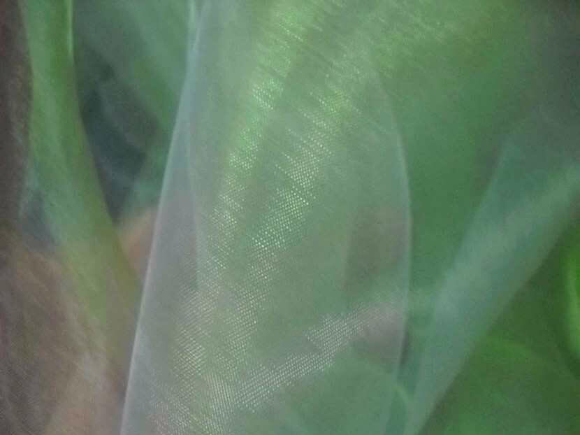 organza changeant vert bambou reflets blanc