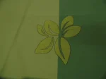 Coupon de Toile de Coton Rayée Vert Anis & Vert